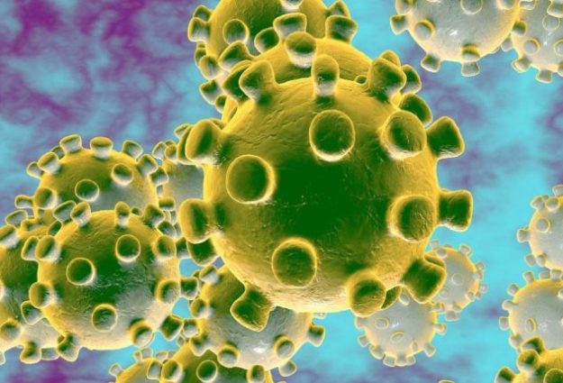 an image of the coronavirus