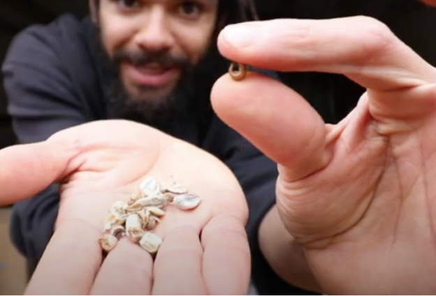 Image of artist Marley holding seeds