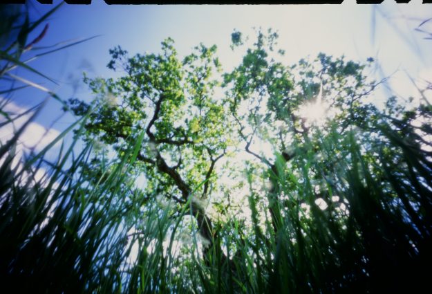 A pinhole camera image of the Dunton Hills site, taken by Laura Malacart